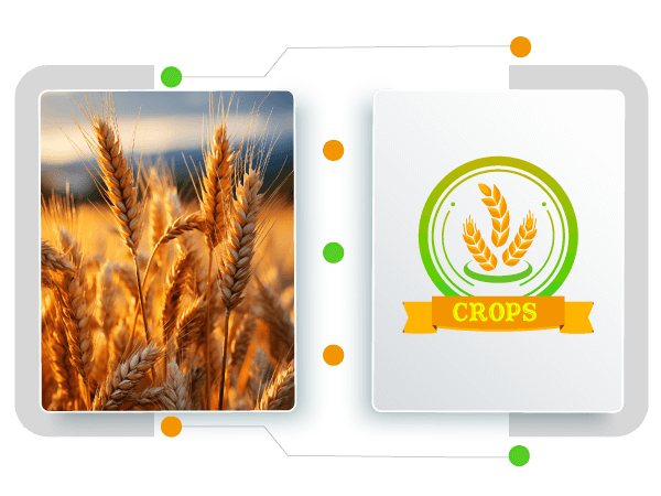 Crop Logo Creator