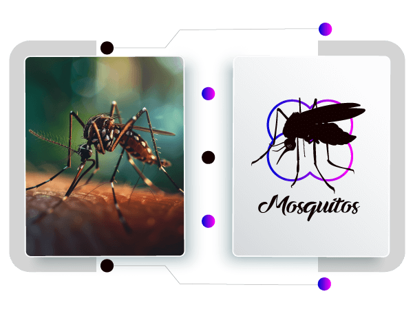 creador de logos de mosquitos