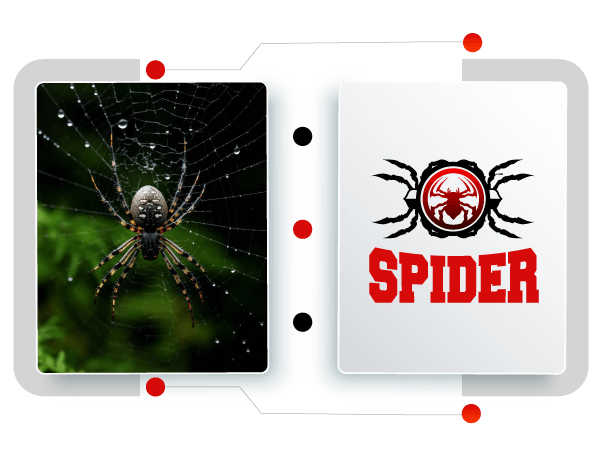 spider logo creator