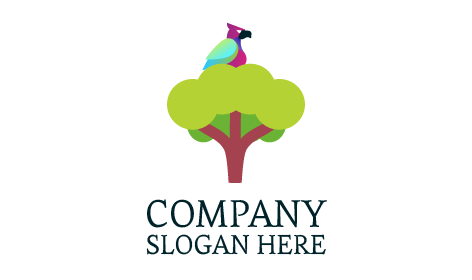 Colorful Eagle Bird Logo