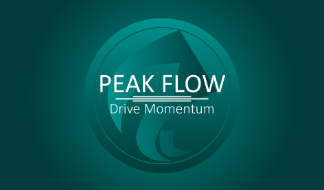 Peak Flow Wortmarke Consulting Logo