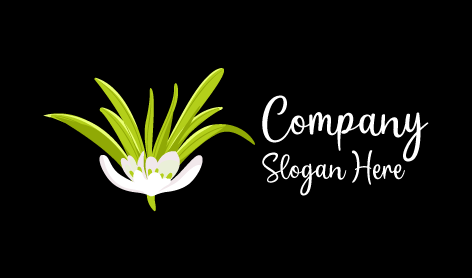 Logo Con Gelsomino Bianco Arbustivo