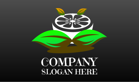 Limon Suyu Narenciye Logosu