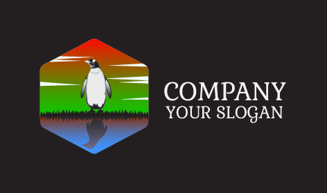 Logotipo Colorido De Pinguim