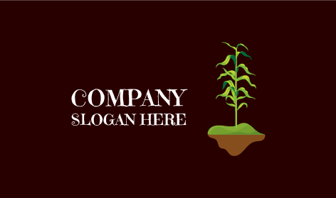 Uzun Bitki Yaprakları Logosu