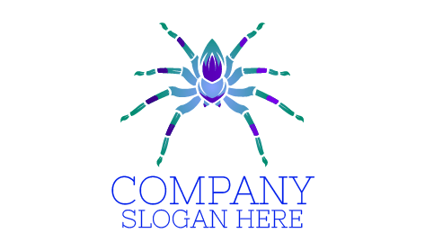 Logo D'Araignée Tarentule Colorée