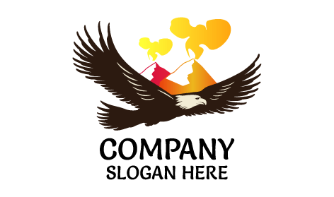 Steady Flight Volcano Logo